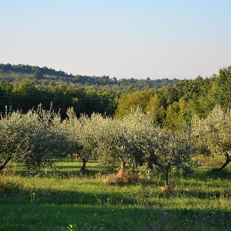 Villa Olivetta By Istrian Country Houses Barat  Extérieur photo