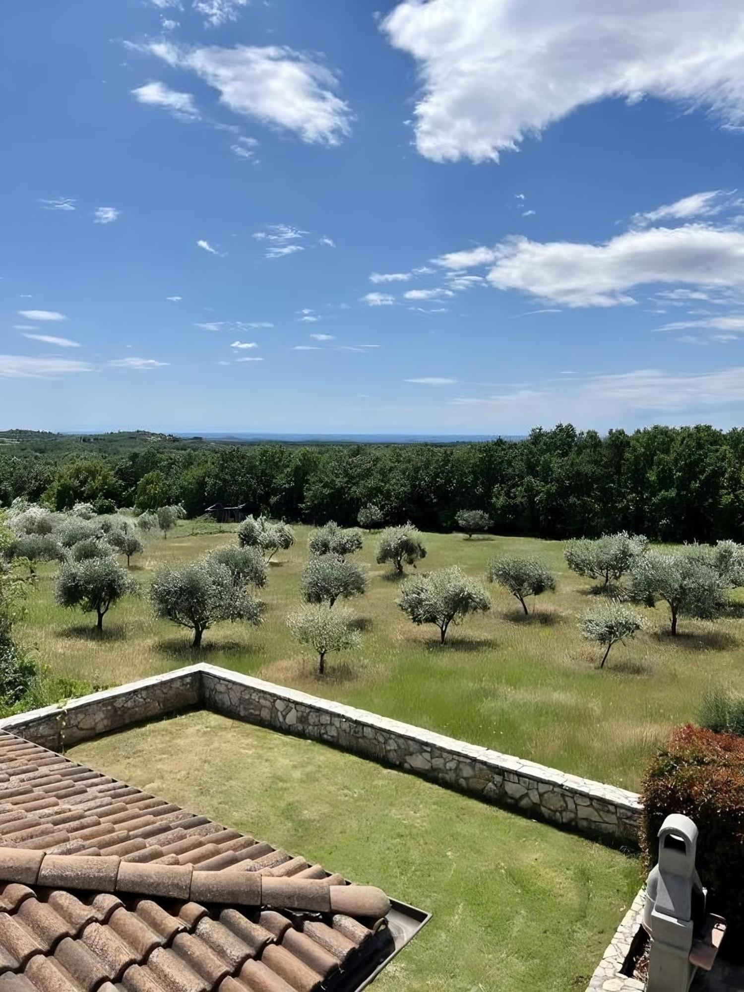 Villa Olivetta By Istrian Country Houses Barat  Extérieur photo